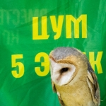 224.jpg