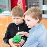 249.jpg