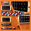    Gibson,  ! Alnico!