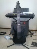 ESP LTD H-308