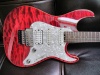 EDWARDS E-SN-145FR by ESP, !